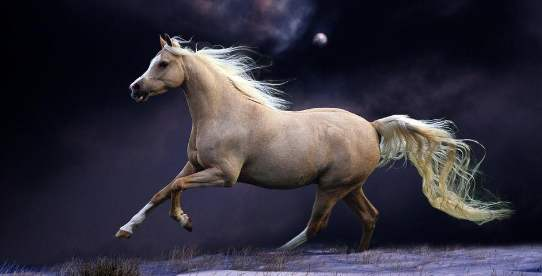 a9fab00cb4c245e992b1ef0d9aacadea.png