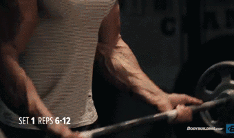b55fdbead707457a89a4fc02a0de43b2.gif