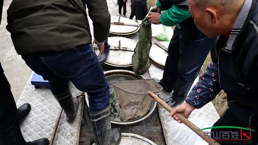 放流鱼苗最新消息 be7b21676ed94e7aa11b99051d721a14.jpeg