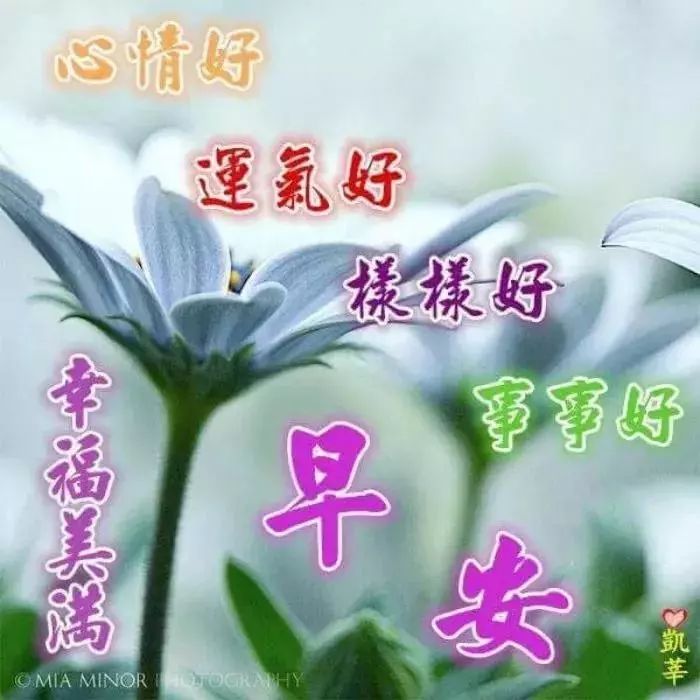 2020最新版早上好问候语动态图片表情 最暖心的早上好
