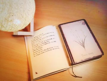 一个故事一段回忆 dd639e052a6647f1b6964de5e3d0419d.jpeg