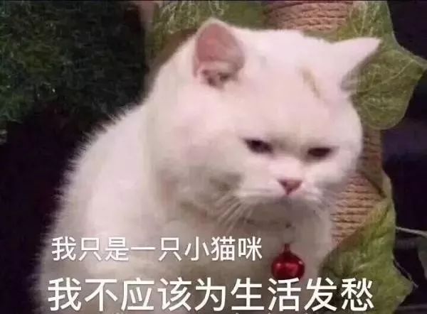 哭死我算了