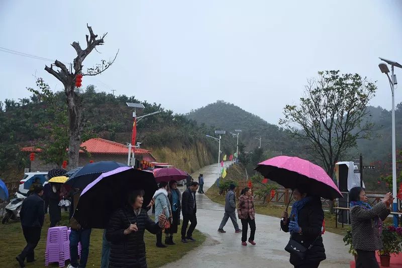 宾阳春节必约网红打卡地马岭生态园鲜果土货应有尽有附视频