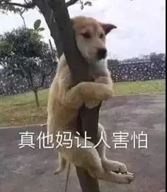 第一次去北方婆婆家吃饭，结果出人意料（图文）