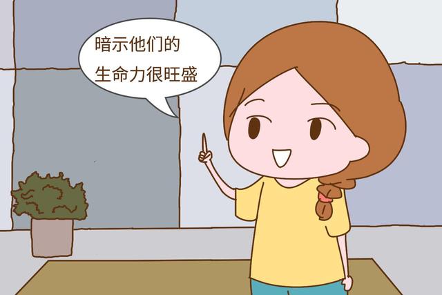 「檀香育儿」原创宝宝睡觉是这种睡姿，暗示生命力旺盛，说明宝妈很会养孩子