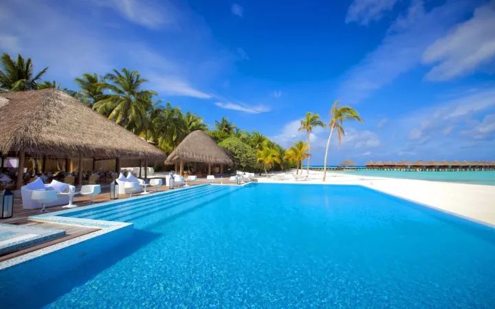 抢跑|为什么学得又早又多，一路抢跑的中国学生却后劲不足?