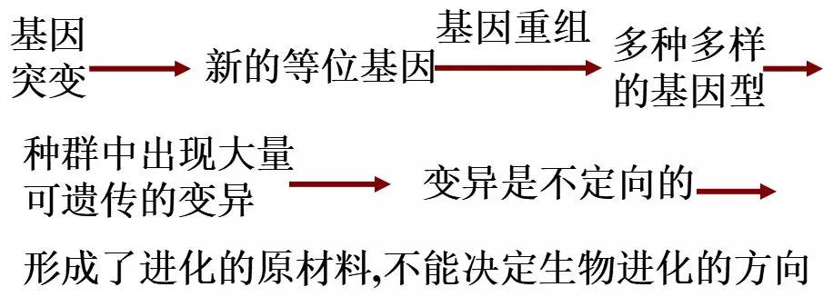 高中生物种群基因频率的改变与生物进化