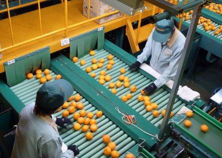 政府忌惮三分,比黑社会还厉害,日本农协为什么牛?