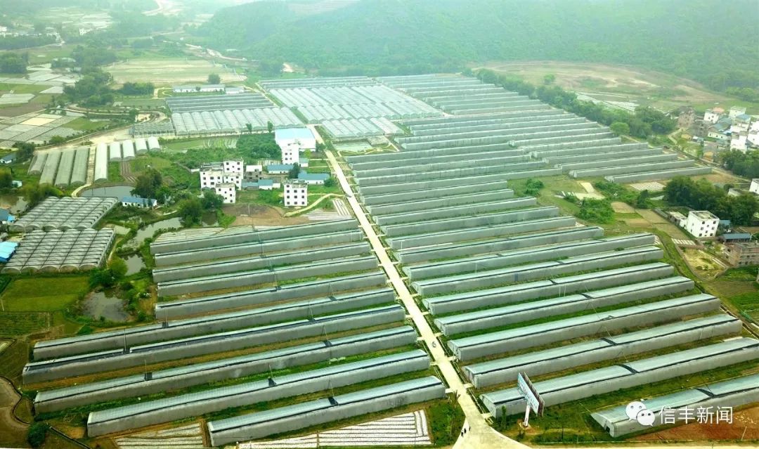 信丰gdp_信丰中学图片(3)