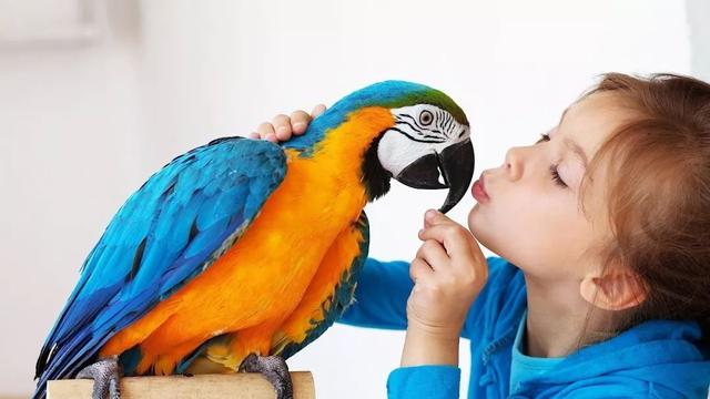 235fd65912034c3dabc16d98d5a932d8.jpeg