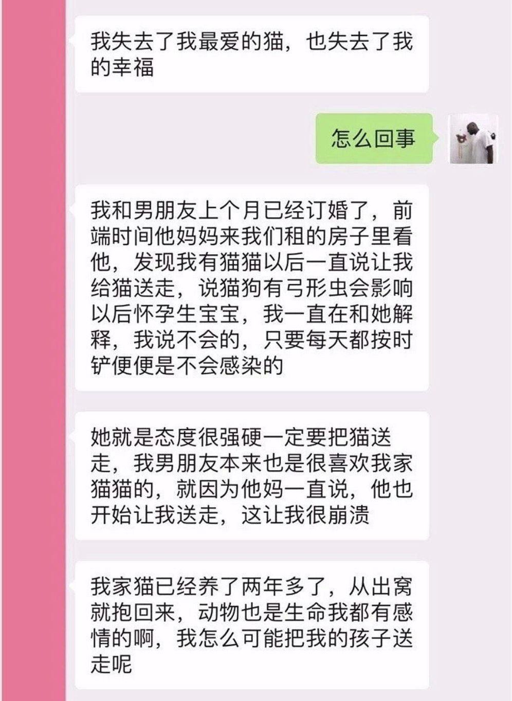                     “备孕两年怀不上孩子，老公却让猫背锅，叫我送走猫！”