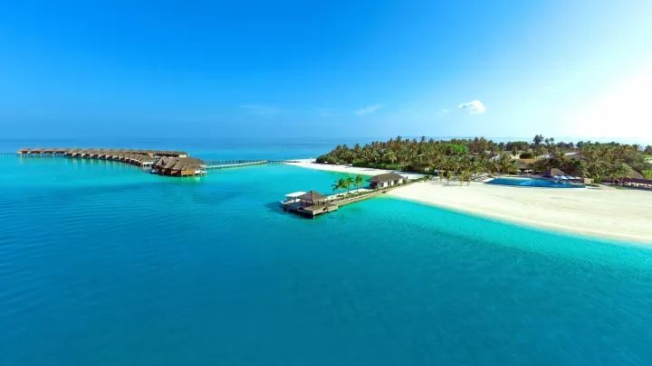 抢跑|为什么学得又早又多，一路抢跑的中国学生却后劲不足?