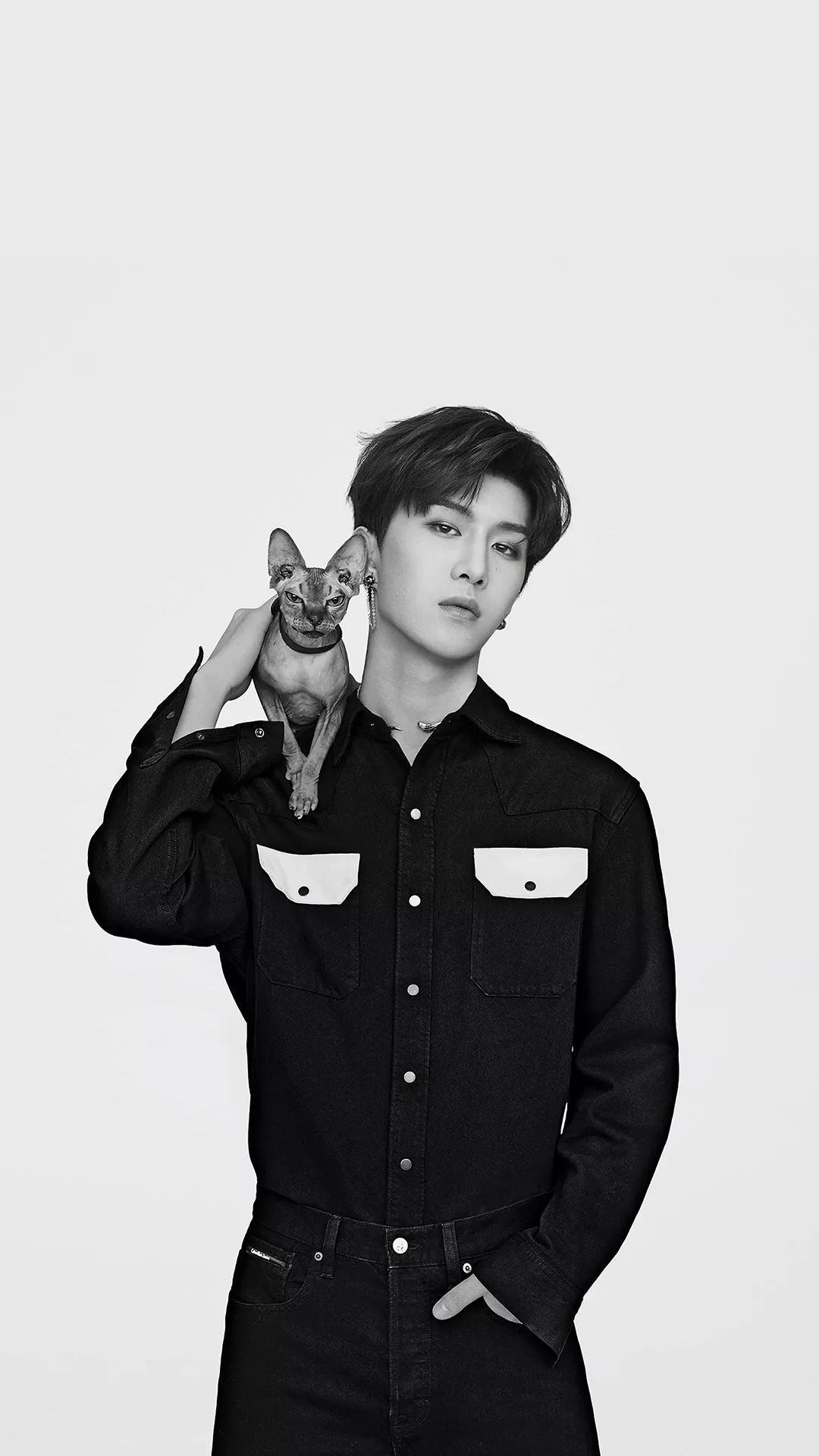 明星壁纸 | 范丞丞 送给丞星们~