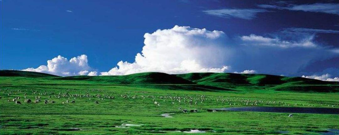 终于找到了这一首老歌,太好听了!