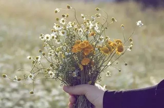 什么是做人的根本什么是做人的良心 46630fcc42374ca9a6c84f0e7e07e9b6.jpeg