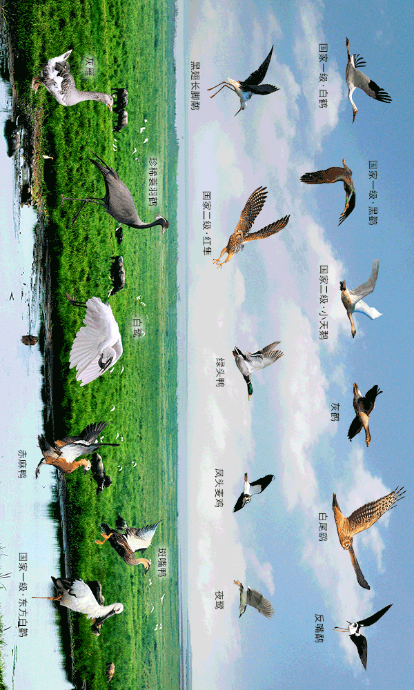 600_1000 竖版 竖屏