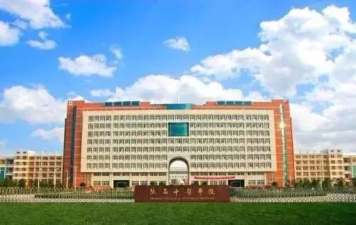 二本中医药大学排名_陕西中医药大学2019年分专业录取分数