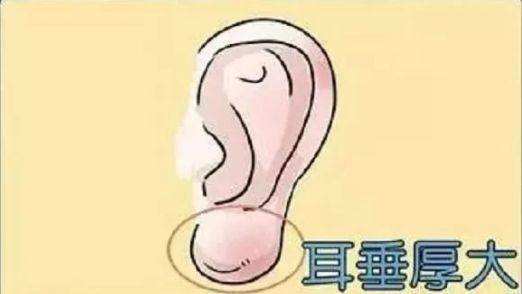 算命耳朵大小代表什么命