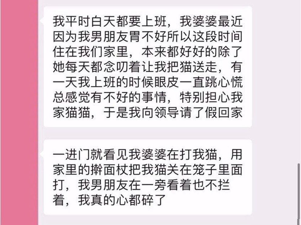                     “备孕两年怀不上孩子，老公却让猫背锅，叫我送走猫！”