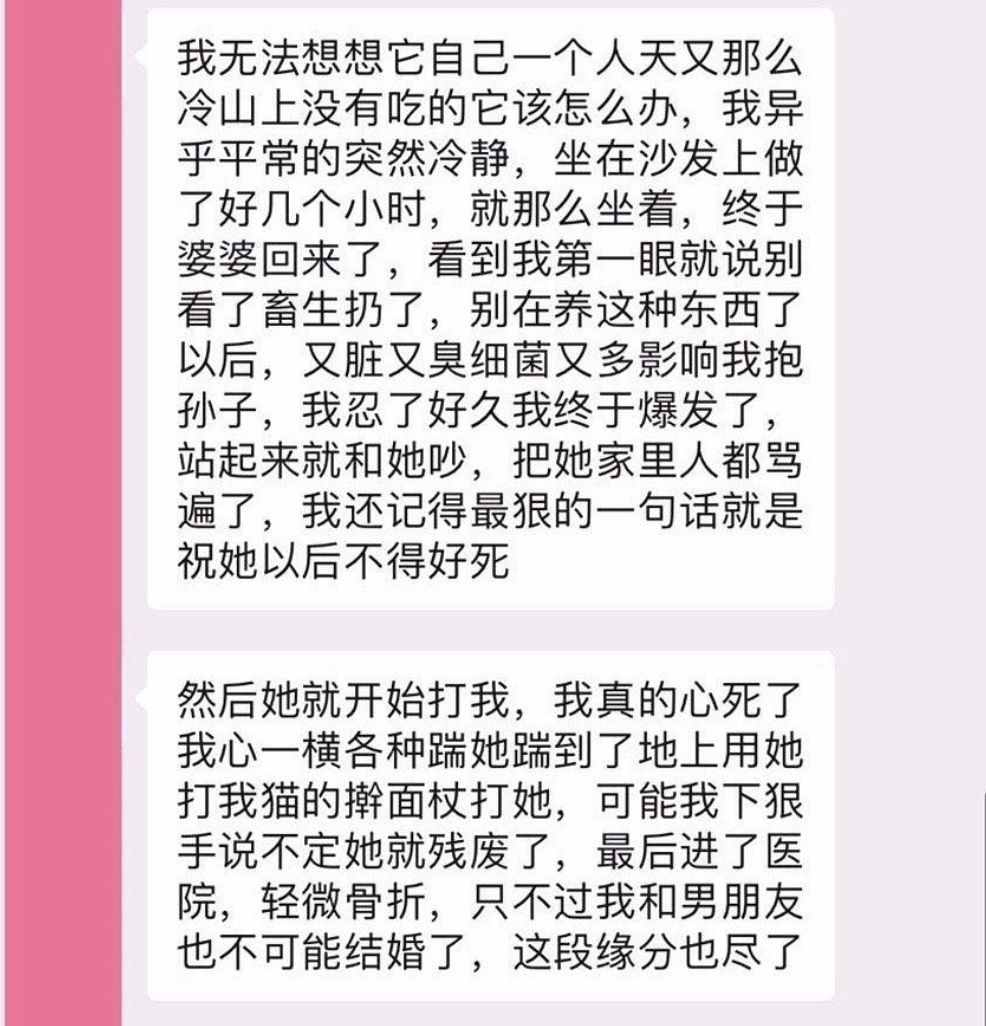                     “备孕两年怀不上孩子，老公却让猫背锅，叫我送走猫！”