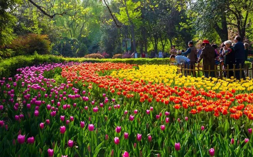 固安年·幸福年|全民新春惠民福卡券来袭,固安上百商家大力支持!