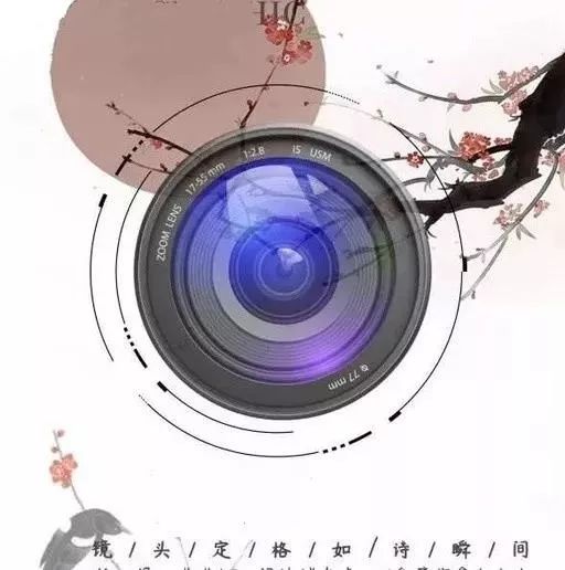 用镜头记录瞬间 82a01a11b217499ea92b8956628be7e9.jpeg