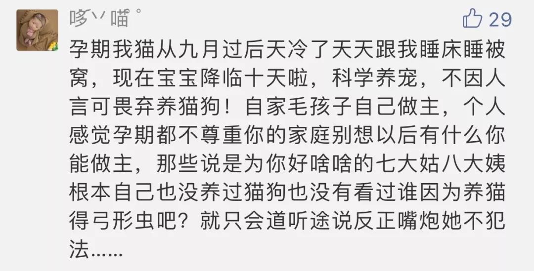                     “备孕两年怀不上孩子，老公却让猫背锅，叫我送走猫！”