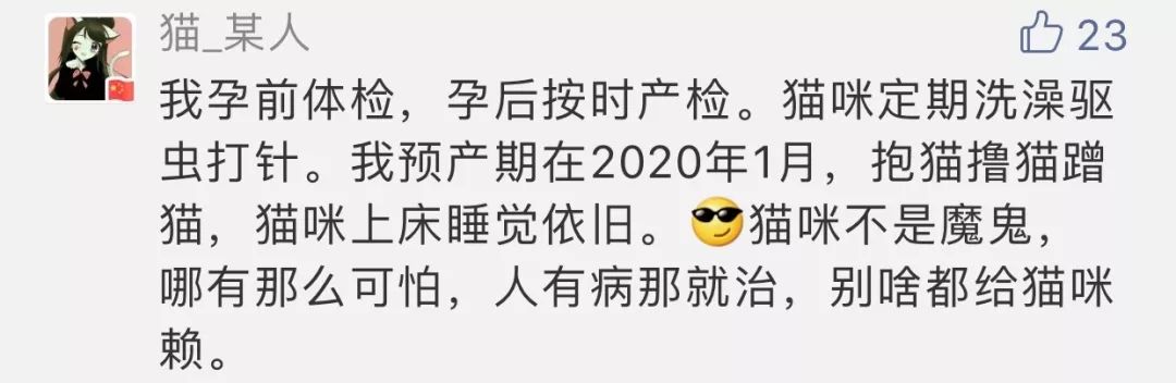                     “备孕两年怀不上孩子，老公却让猫背锅，叫我送走猫！”