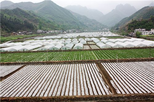 土门有多少人口_2021年中国有多少人口(3)