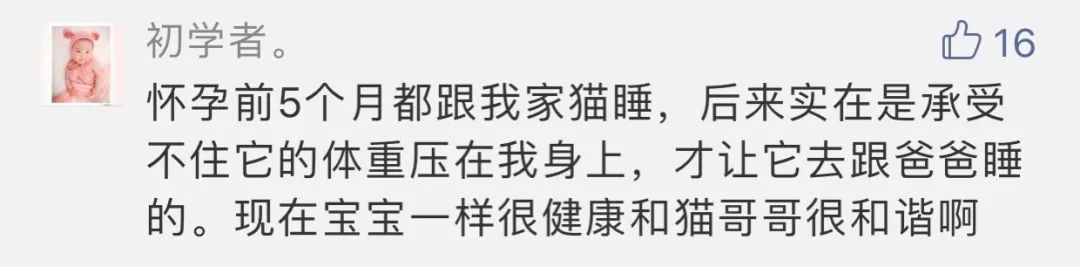                     “备孕两年怀不上孩子，老公却让猫背锅，叫我送走猫！”