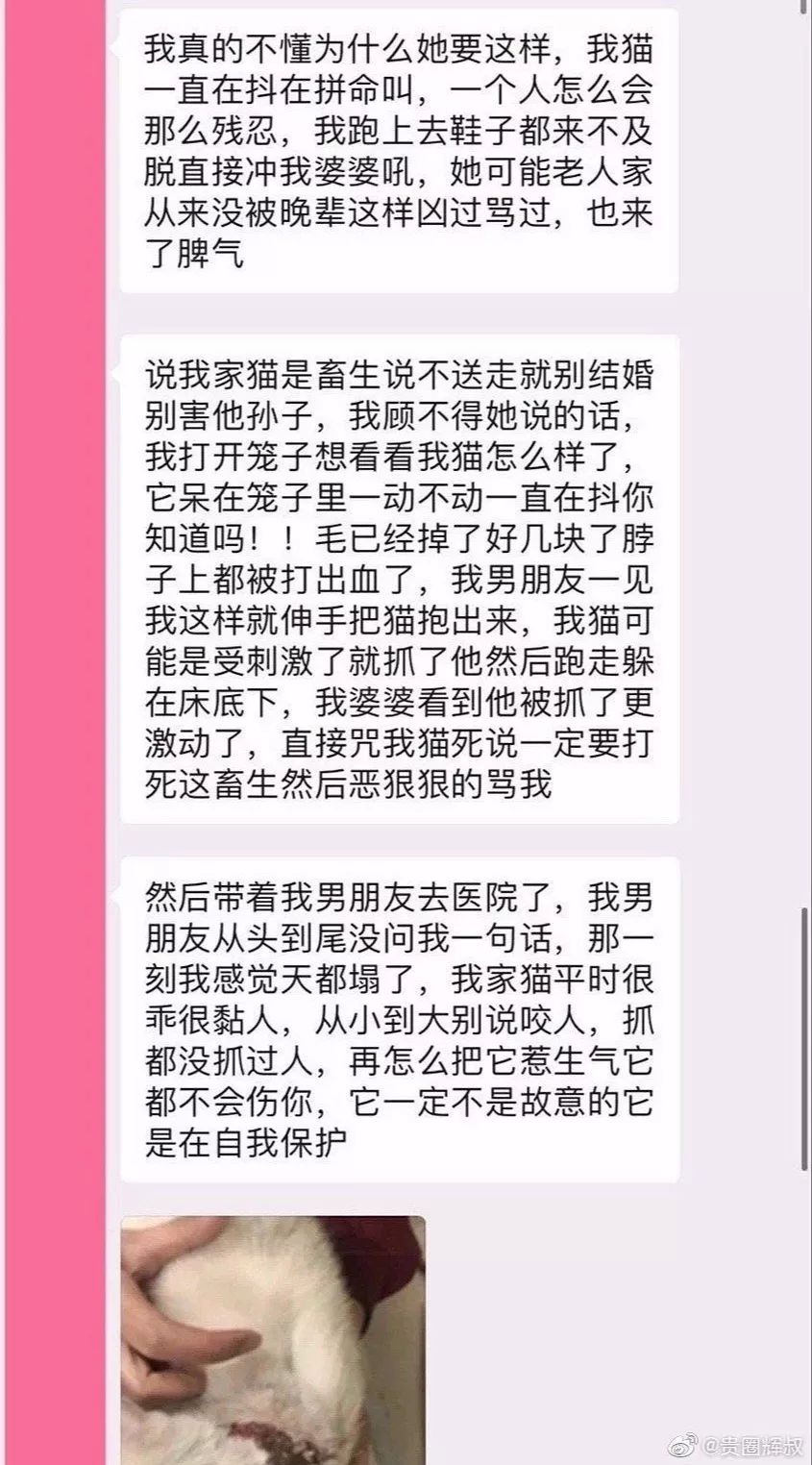                     “备孕两年怀不上孩子，老公却让猫背锅，叫我送走猫！”