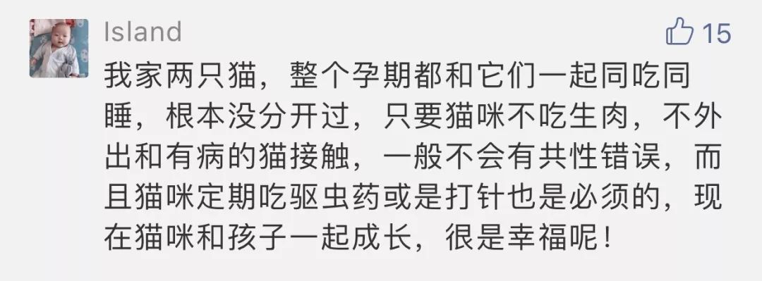                     “备孕两年怀不上孩子，老公却让猫背锅，叫我送走猫！”