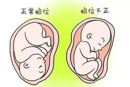 cadd0d0948eb458c84ed84c1d0c659ba.jpeg
