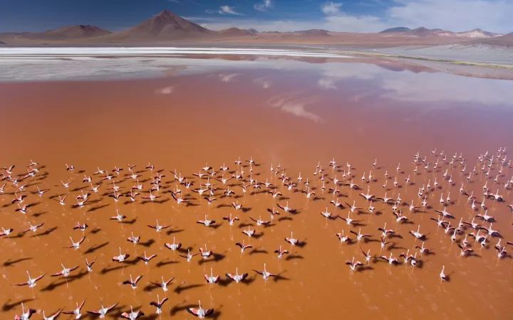 抢跑|为什么学得又早又多，一路抢跑的中国学生却后劲不足?