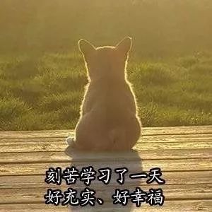 d8a27c9d23db45ae938ef96fb32adfda.jpeg