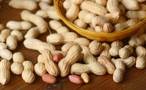 坚果类食物含有哪些营养物质 da144d1cb3a147e7b3e4d912c387b35e.png