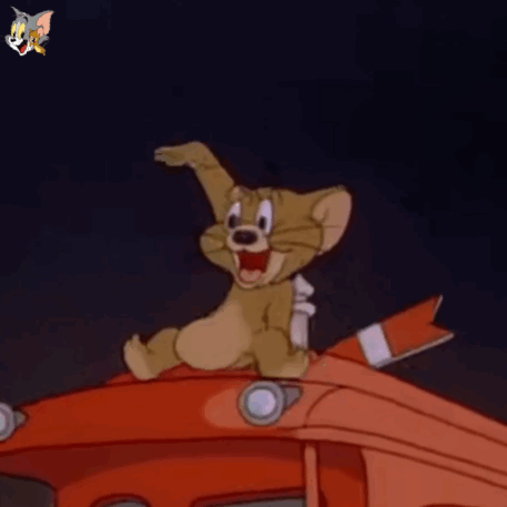 听说你属鼠,那我就属猫吧