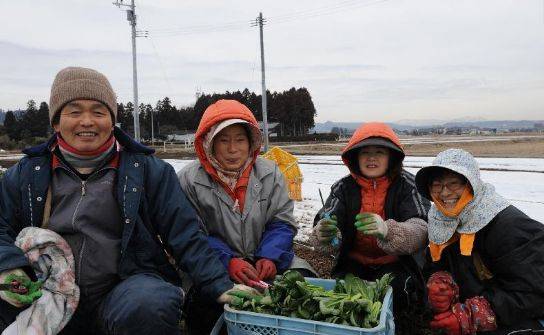 政府忌惮三分,比黑社会还厉害,日本农协为什么牛?