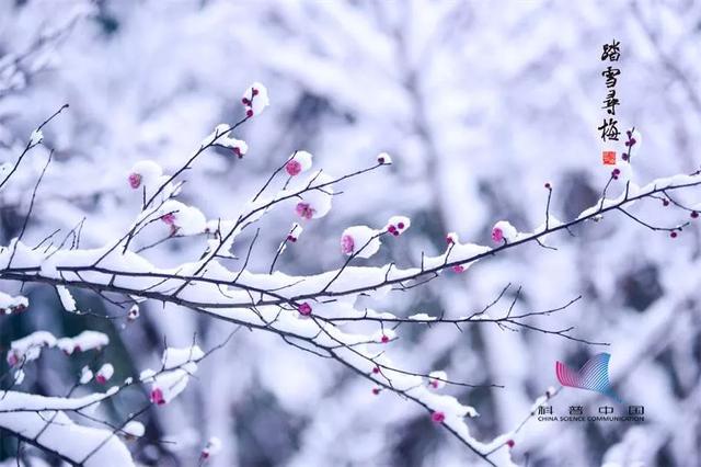 寒冬腊月,今日大寒