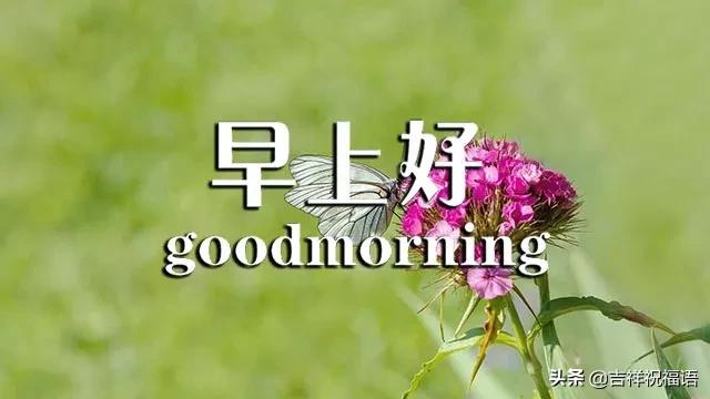 1c31b0ba60954d8db308c2765913d18e.jpeg