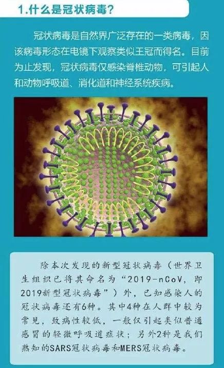 【韩国新型冠状病毒
 /韩国新型冠状病毒最新消息】