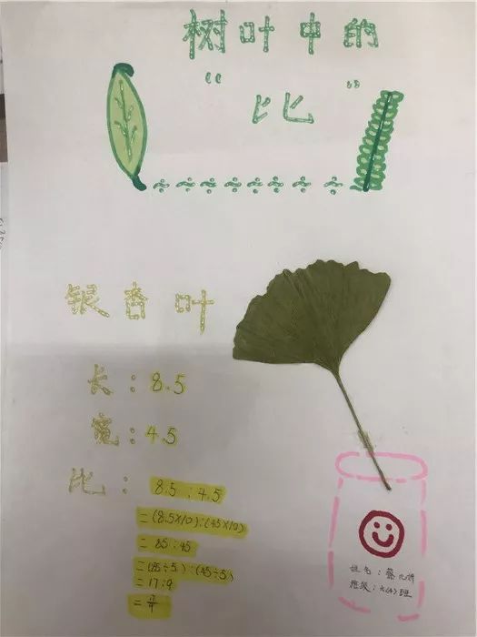 画一画,银杏叶儿大变样!