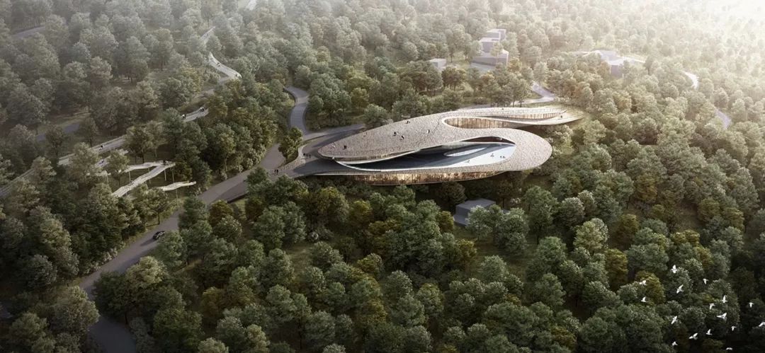 庄子玉的2019:建筑在每个人那里得到映现_设计