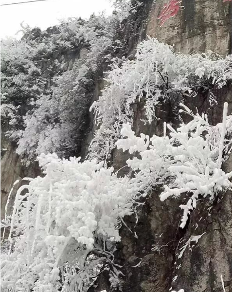 和我一起欣赏一下六盘水梅花山这些雪景吧很醉人哦