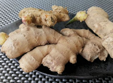 防风的作用与功效图 6bcc5a702496428e845ac0199f566949.jpeg