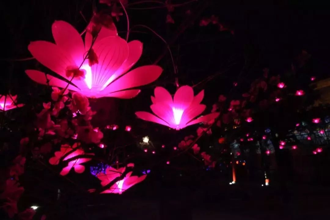 花灯亮年味浓,楼观五福灯光节也来闹新春!