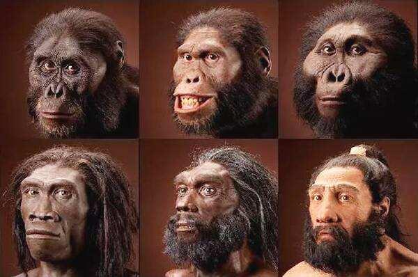 什么是"晚期猿人"和"晚期智人,两者有何不同之处?