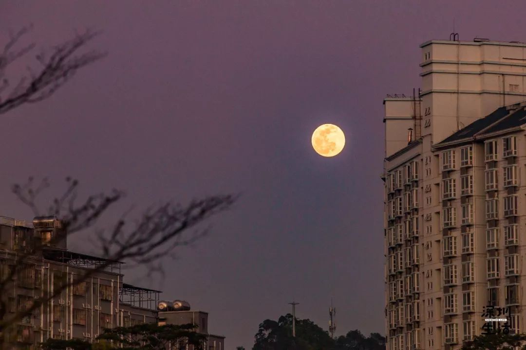深圳“幸存”的城中村！3区交界、5个地铁站围绕，彻底大变样！！