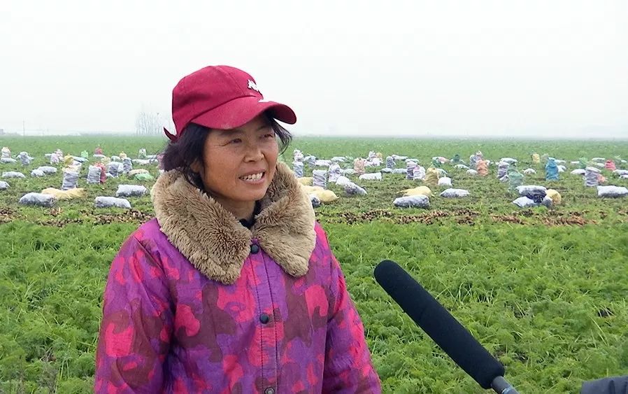 在钟祥市柴湖镇,就近干活,想干就干,干完就拿钱已经成为当下村民打工