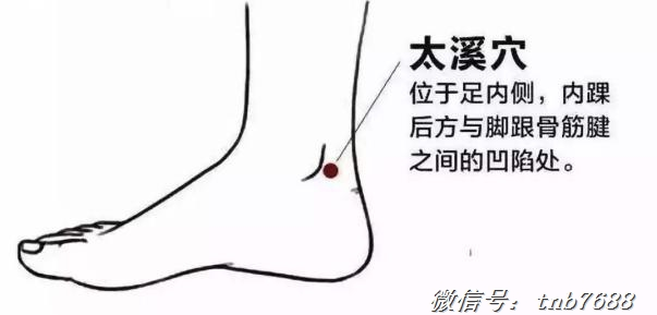 aab512b9a843474cb42a69f6d7359dc1.png